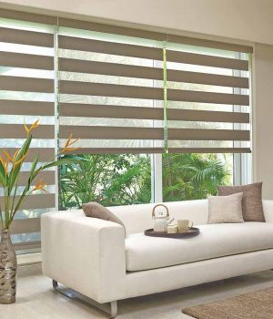 Jalyn-Dark-beige-Duplex-Blinds