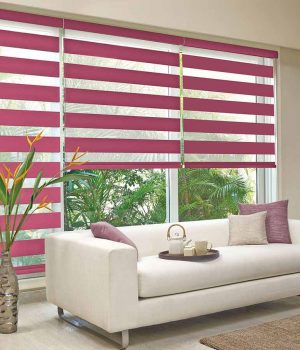 Jalyn-Magenta-Duplex-Blinds