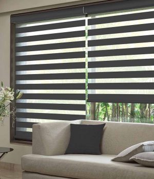 Jalyn-Smoke-Duplex-Blinds