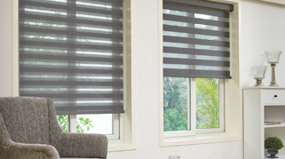 Duplex Blinds