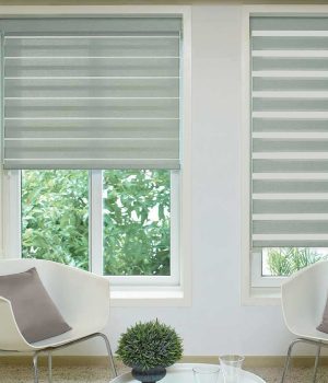 Reagan Platinum Duplex Blind