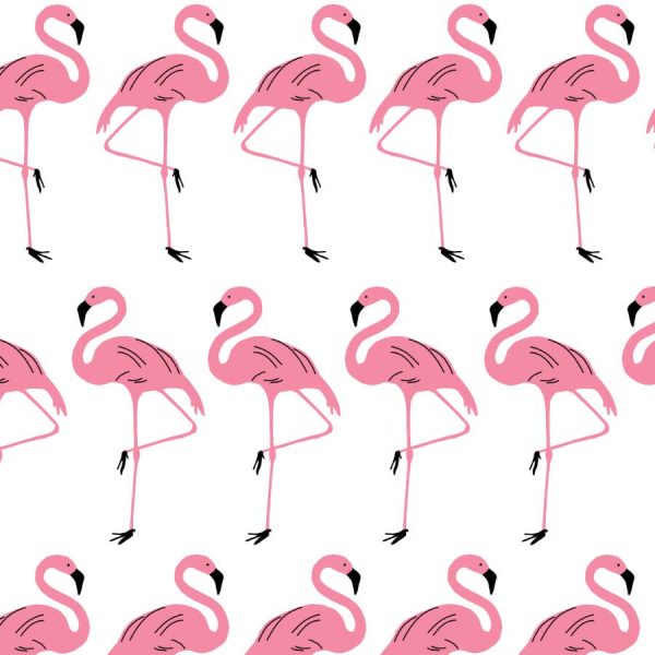 Flamingo-Rosy-Roller-Blind