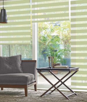 Frida-Green-Duplex-Blinds