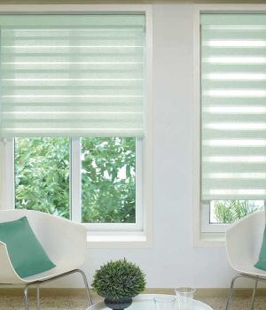 Regan Aqua Duplex Blind