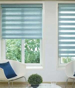 Reagan Danube Duplex Blind