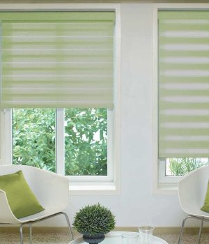 Reagan Lime Duplex Blind