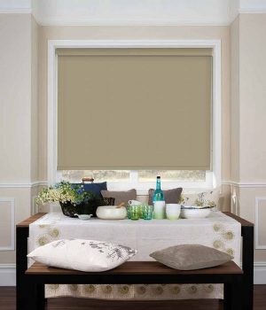 Jalyn Dark Beige Roller Blind