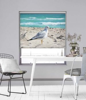 Western Gull on Beach Photo Roller Blind