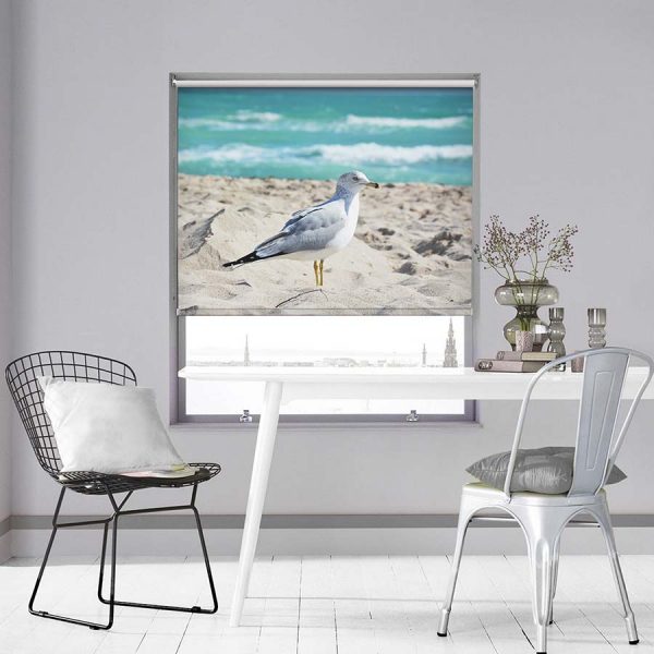 Western Gull on Beach Photo Roller Blind