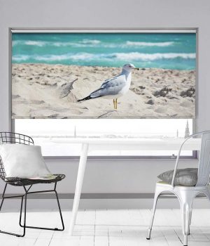 Western Gull on Beach Photo Roller Blind