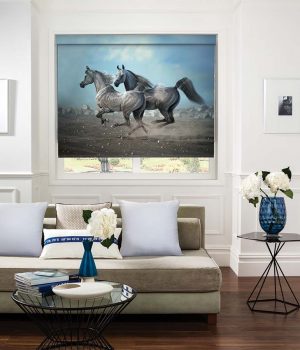 Black Horse Photo Roller Blind