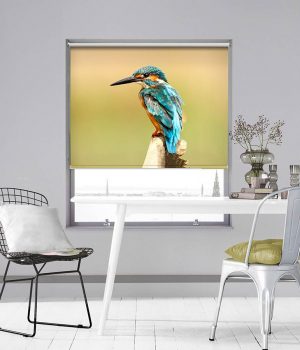 Blue Kingfisher Photo Roller Blind