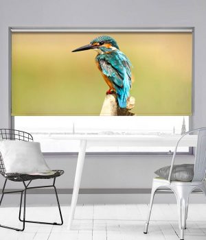 Blue Kingfisher Photo Roller Blind