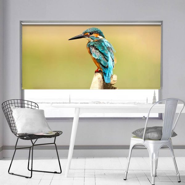 Blue Kingfisher Photo Roller Blind