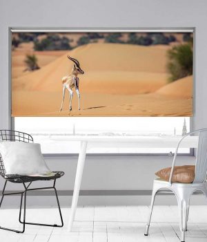 Deer in desert Roller Blind