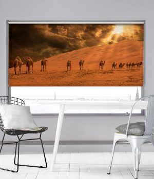 Desert Safari Photo Roller Blind