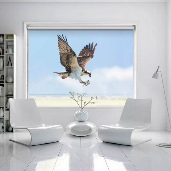 Falcon Roller Blind