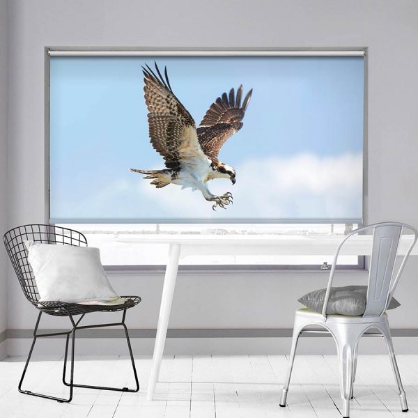 Falcon Roller Blind