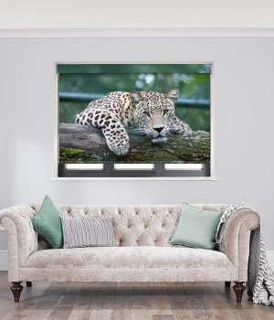 Leopard Roller Blinds