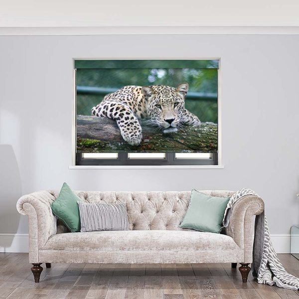 Leopard Roller Blinds