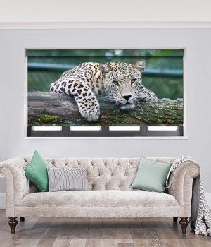 Leopard Roller Blinds