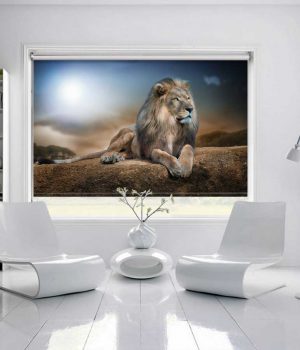 Lion Photo Roller Blind