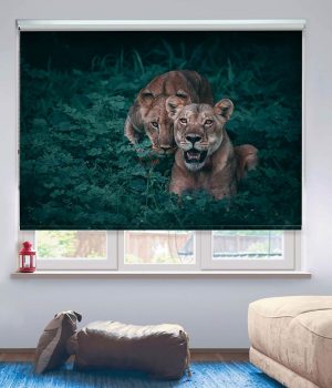 Lion and her Cub Roller Blind