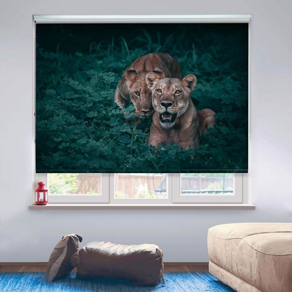 Lion and her Cub Roller Blind