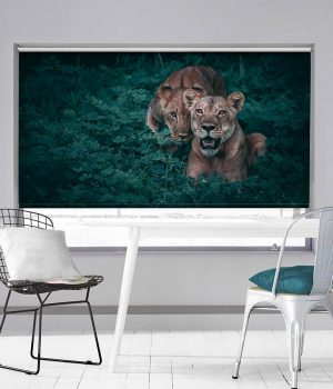 Lion and her Cub Roller Blind