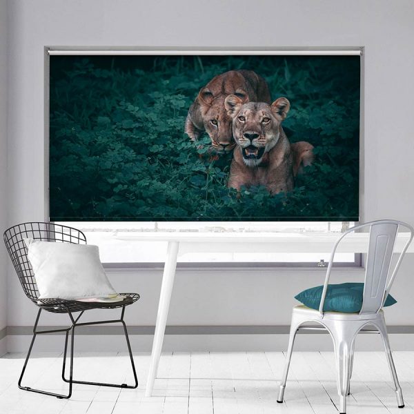 Lion and her Cub Roller Blind
