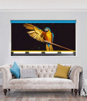 Macaw Roller Blind