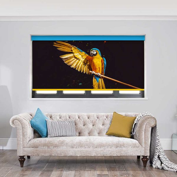 Macaw Roller Blind