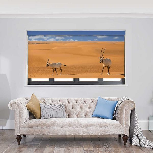 Oryx Roller Blinds