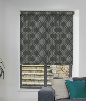 Vector Graphite Roller Blind