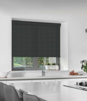 Twin Stripe White Black Roller Blind