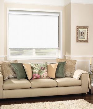 Solar White Roller Blind