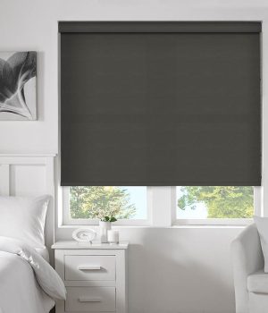 Twin Stripe Grey/Charcoal Roller Blind